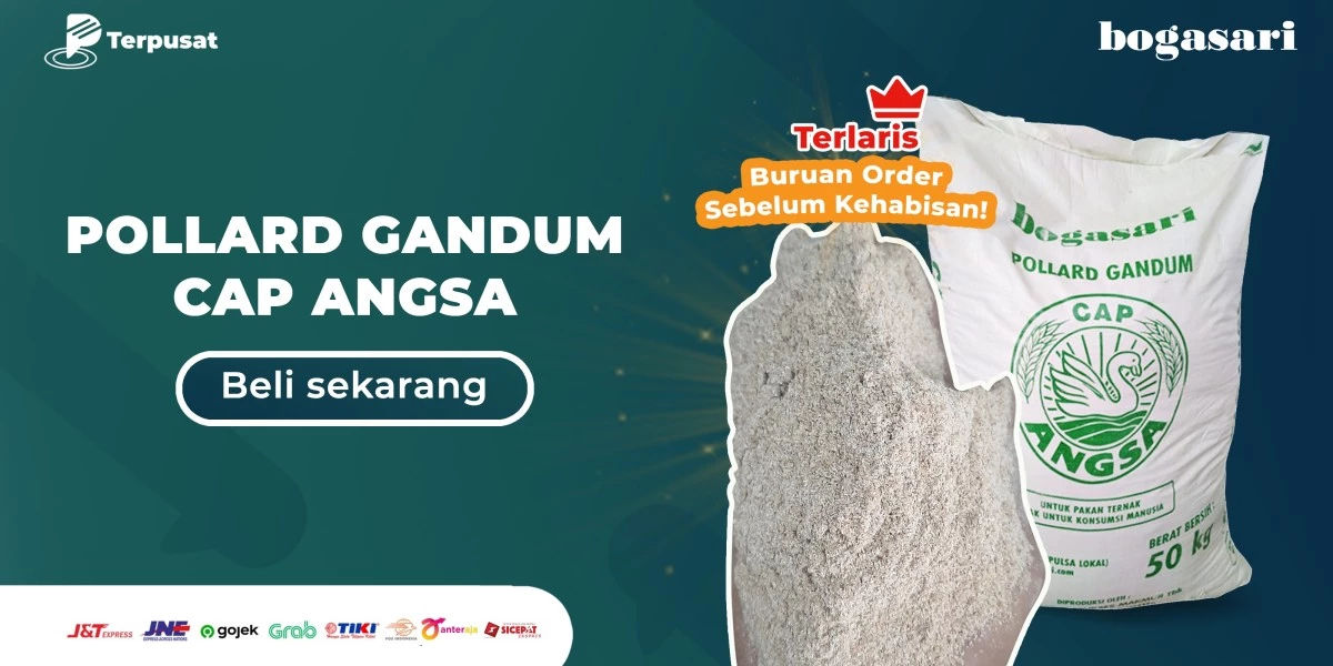 Pollard gandum Cap Anggsa-1