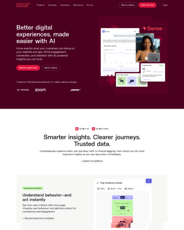 Content Square screenshot