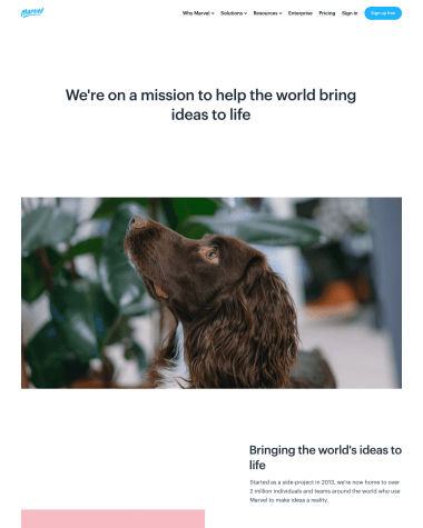 Marvel about us screenshot