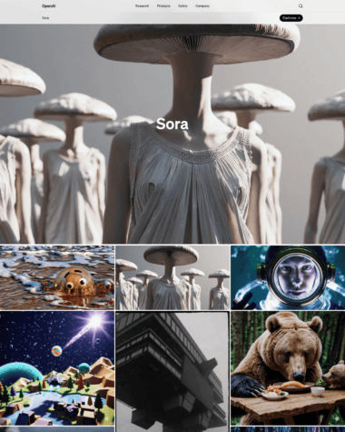 Sora screenshot