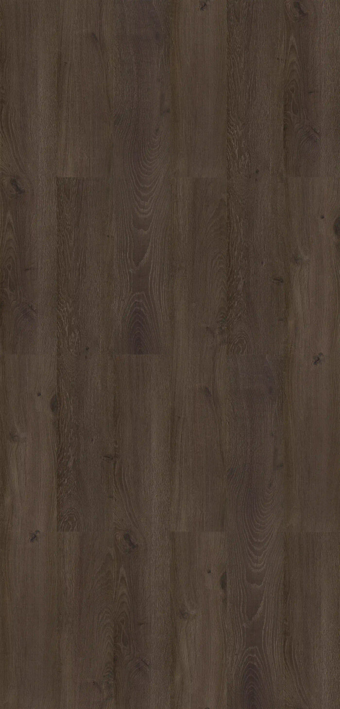 MOUNTAIN OAK