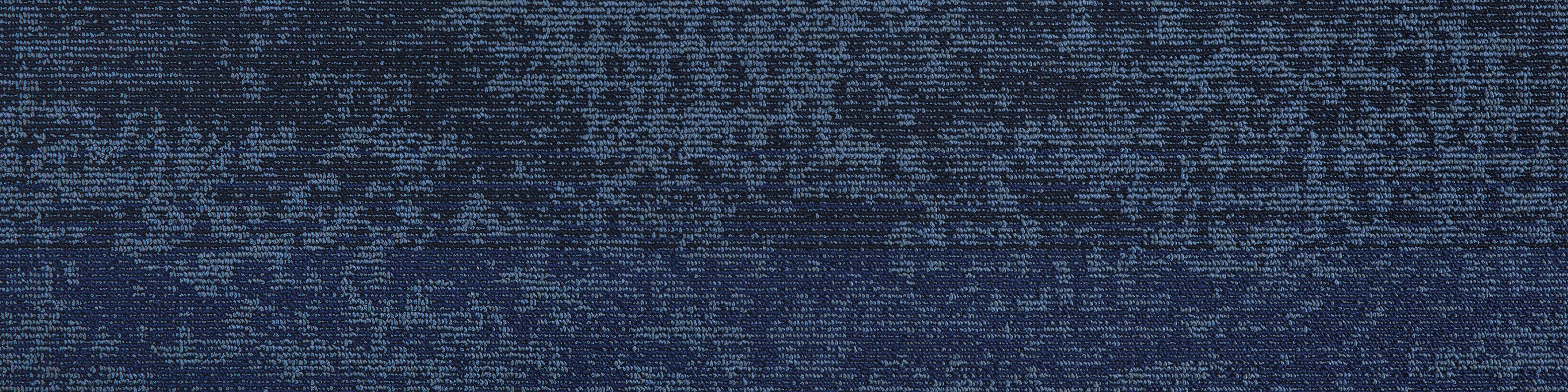 4041