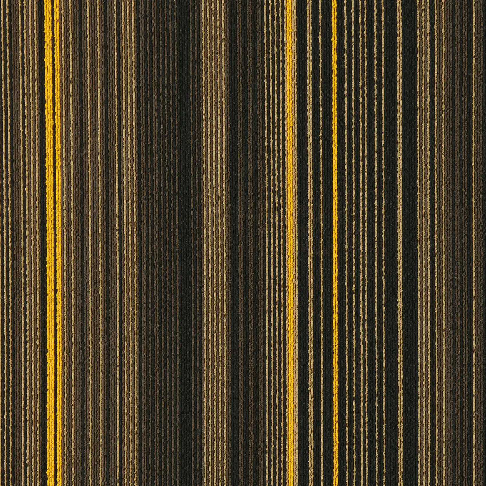 3251