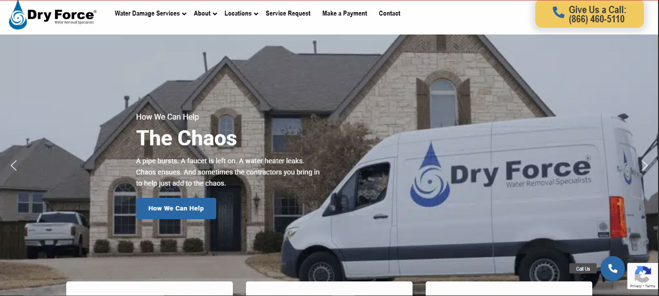Dry Force Water Removal Specialists