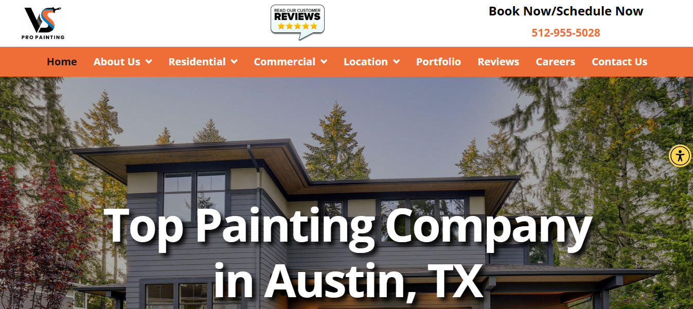 VS Pro Painting