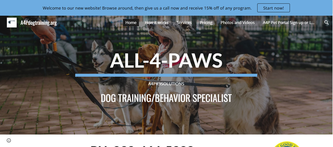 All 4 Paws Dog Training