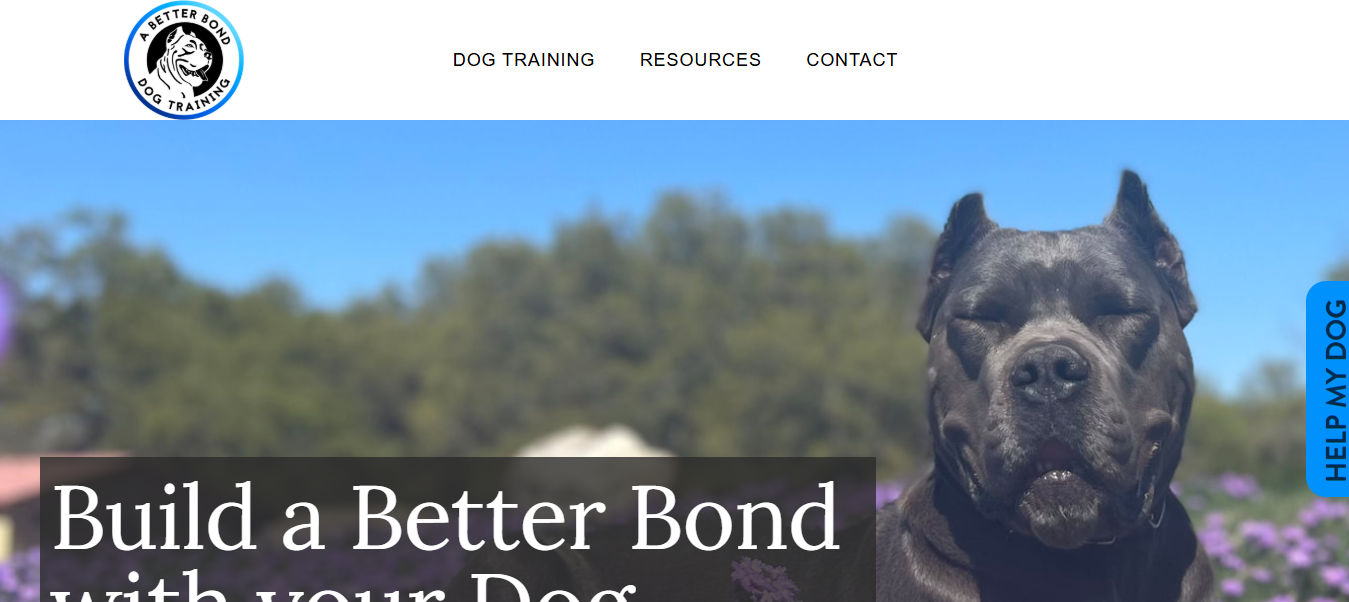 A Better Bond Dog Training