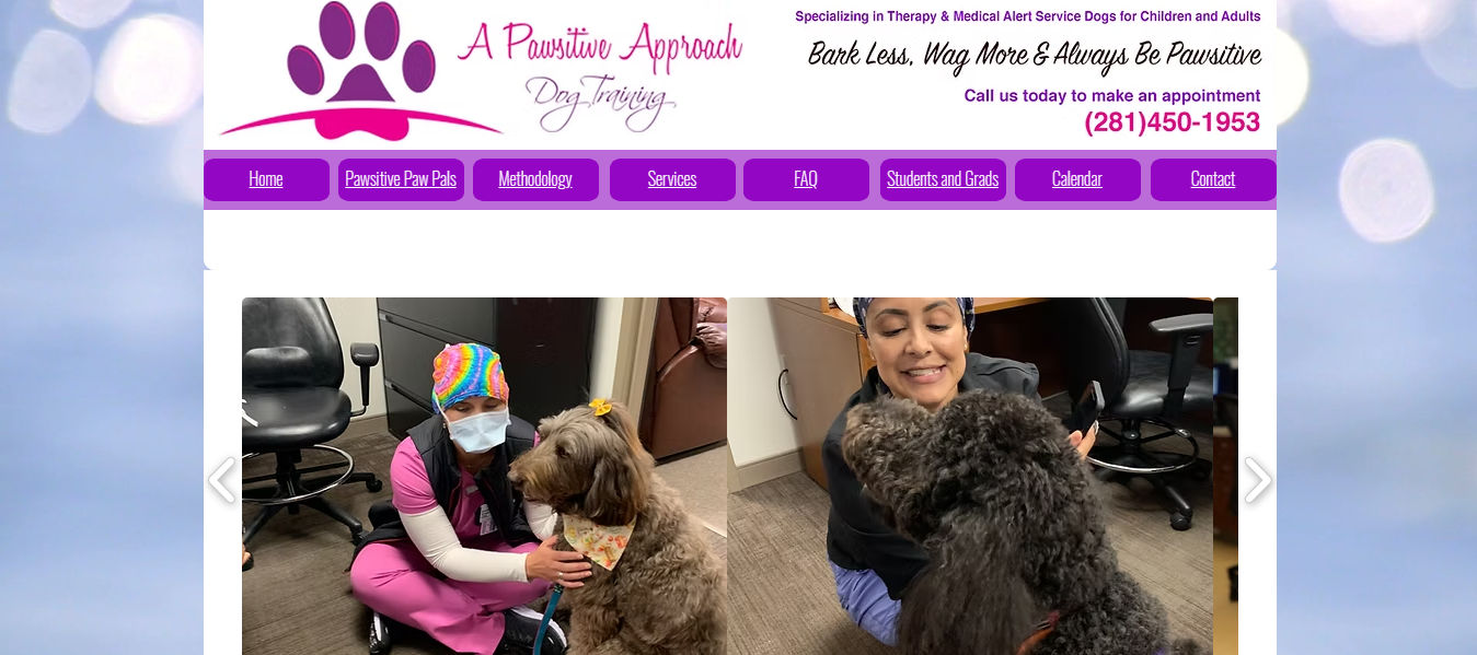 A Pawsitive Approach Dog Training