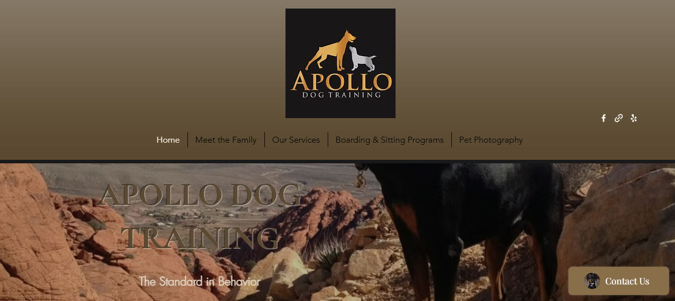 Apollo Dog Training