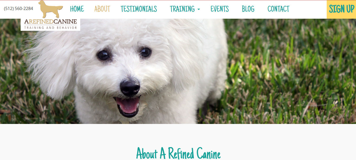 A Refined Canine