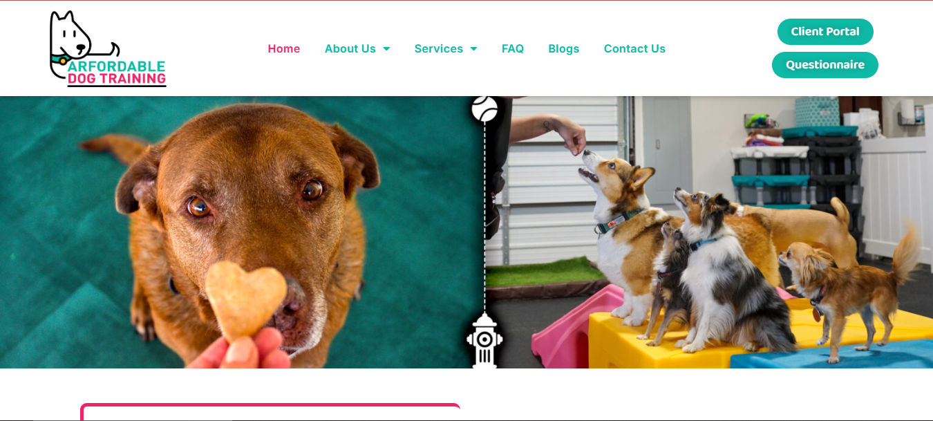 Arfordable Dog Training
