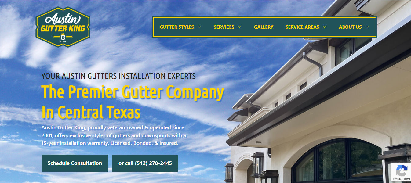 Austin Gutter King