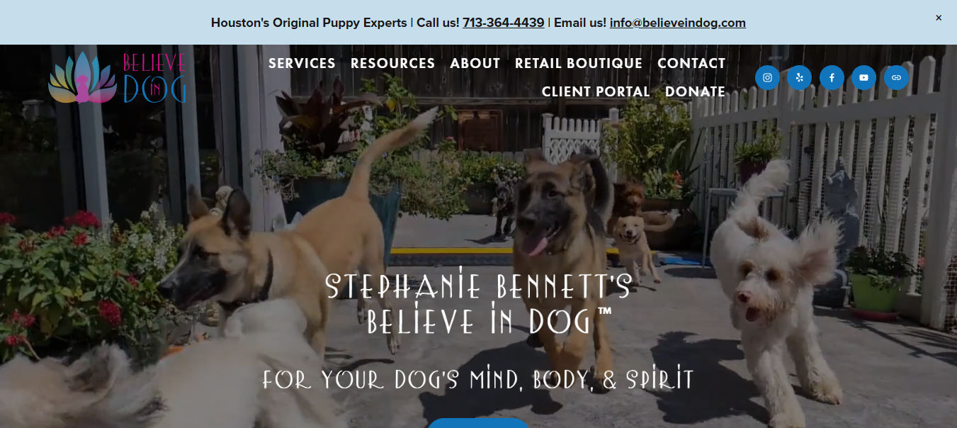 Stephanie Bennett's Believe in Dog