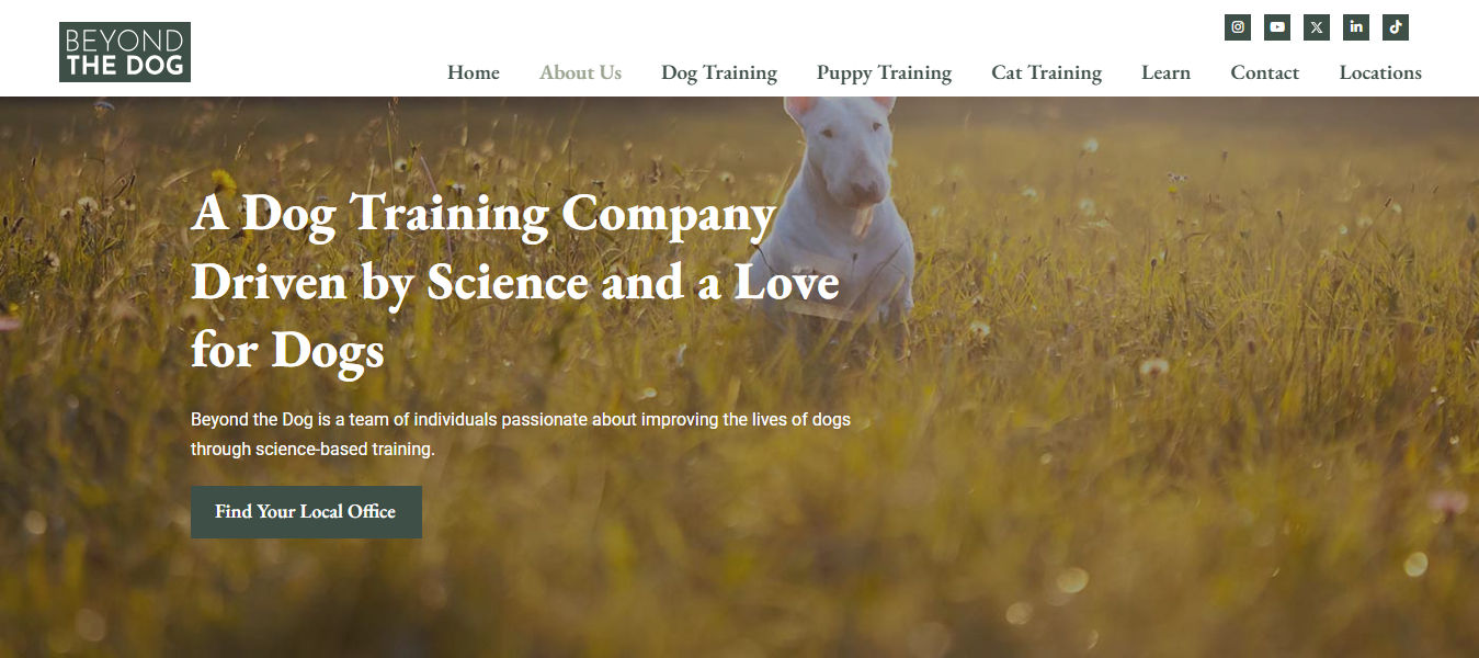 Beyond the Dog. LLC