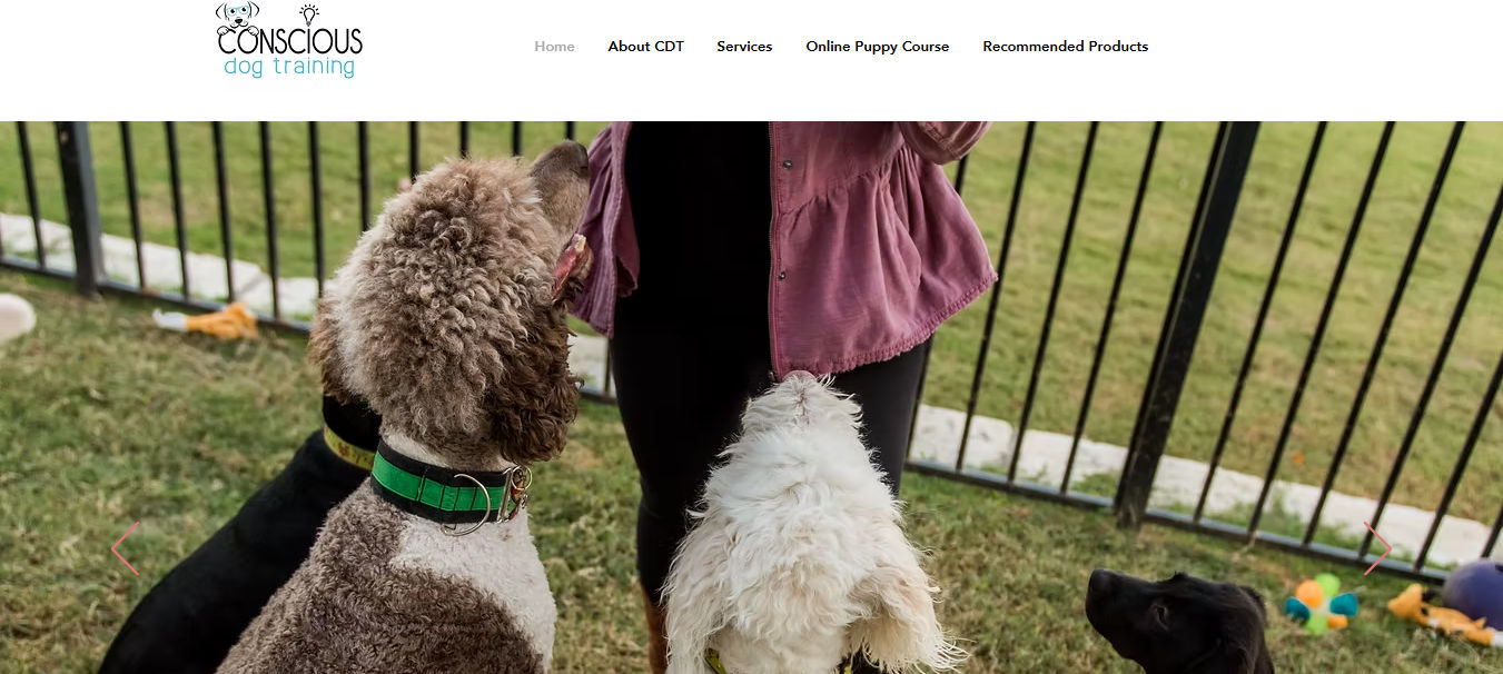 Conscious Dog Training