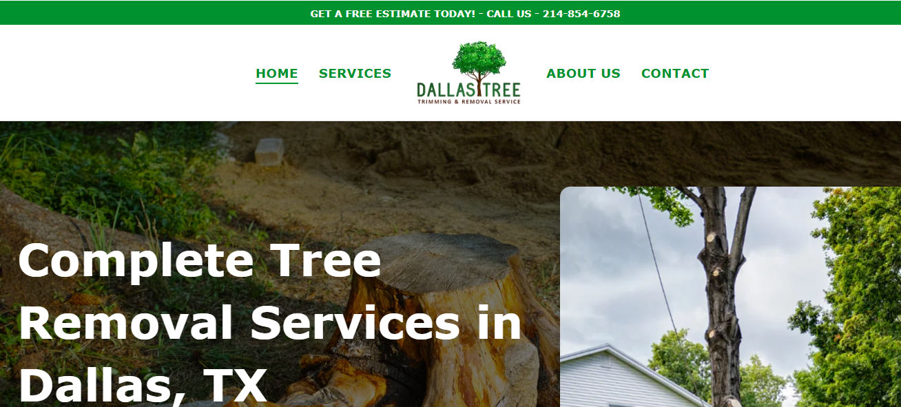 Dallas Tree Trimming and Removal Service