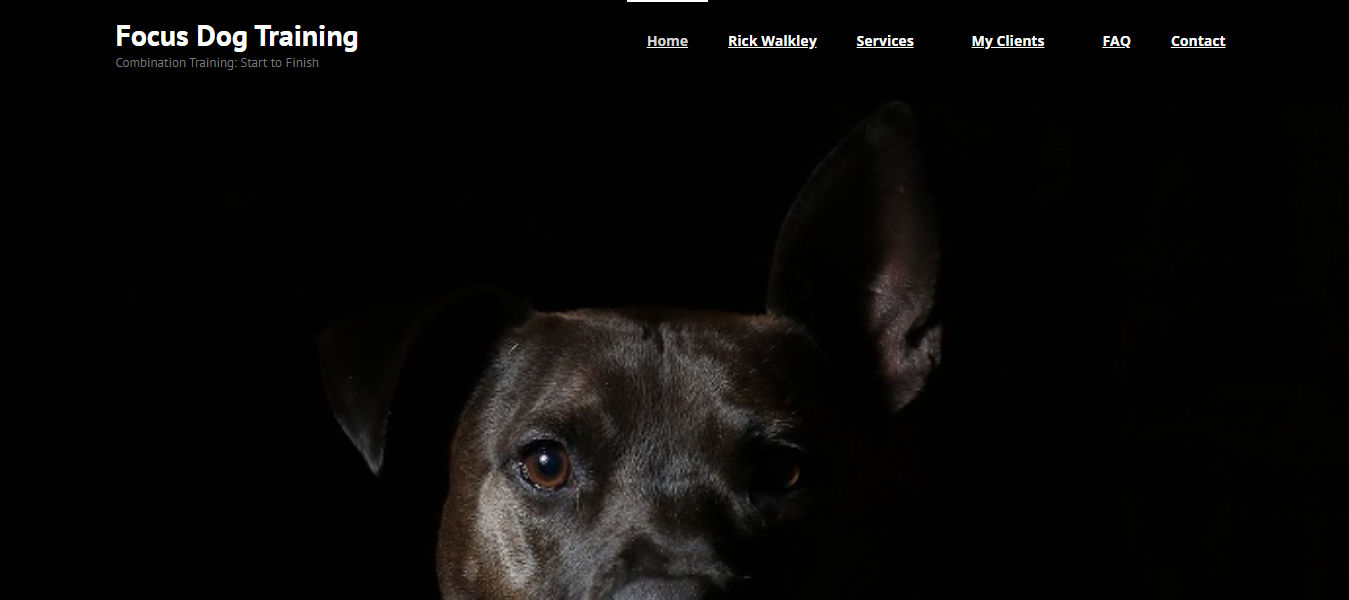 Focus Dog Training - Obedience Dog Training