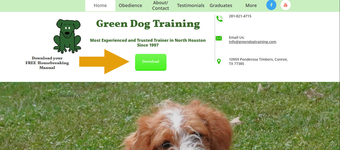 Green Dog Training