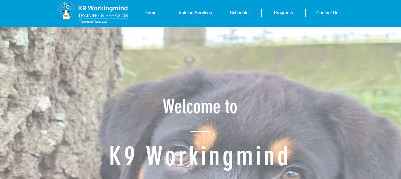 K9 Workingmind. Training by Tara LLC