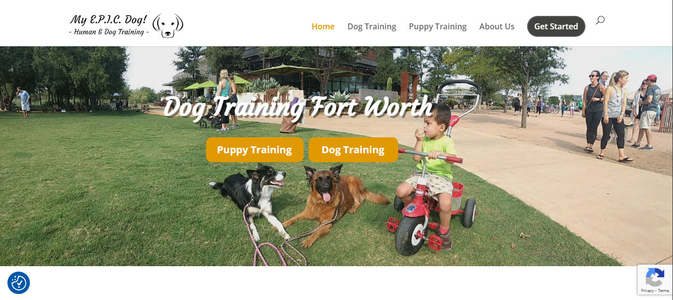 My EPIC Dog - Human and Dog Training