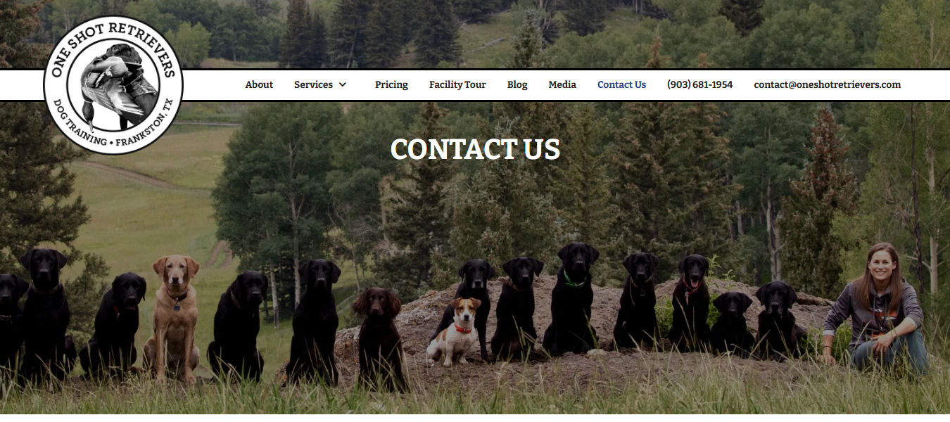 One Shot Retrievers