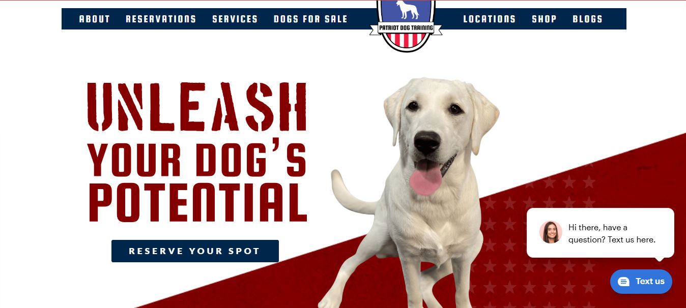 Patriot Dog Training