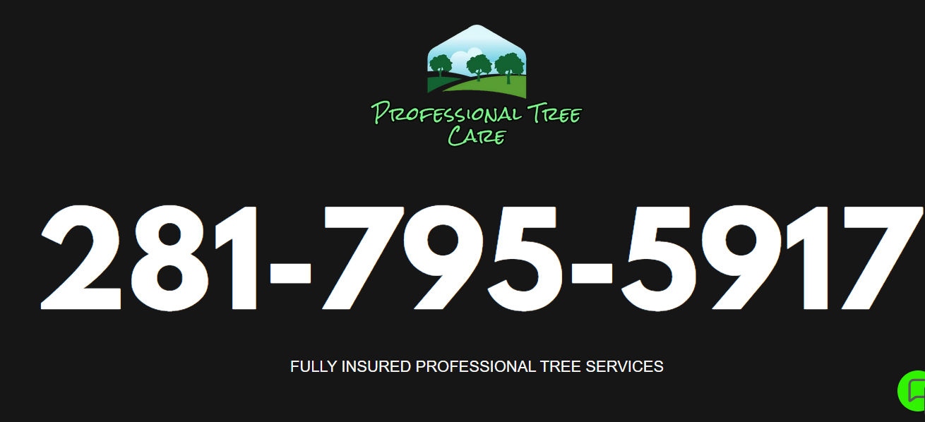 Professional Tree Care