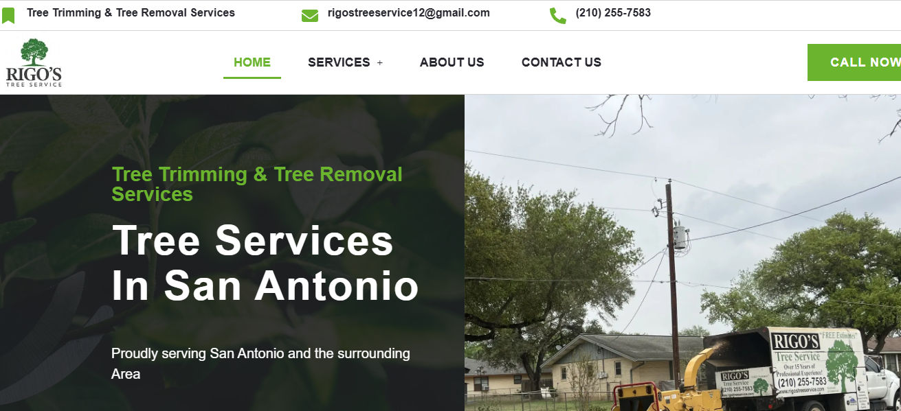 Rigo's Tree Service