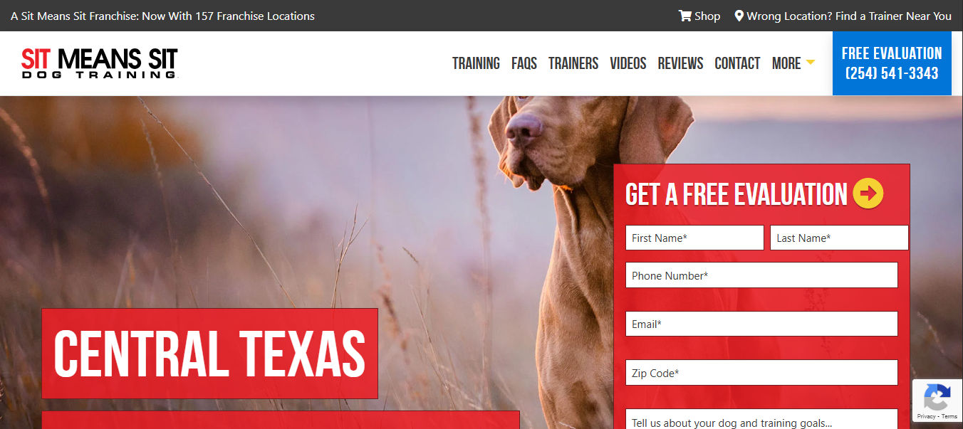 Sit Means Sit Dog Training Central Texas