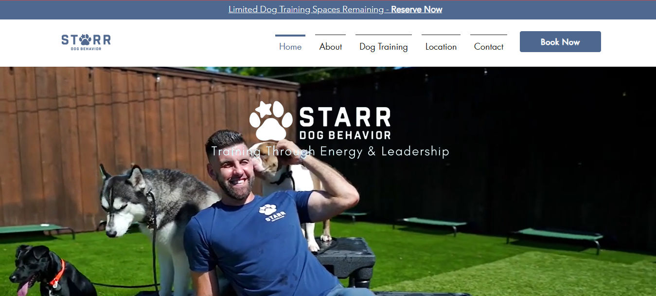 Starr Dog Behavior