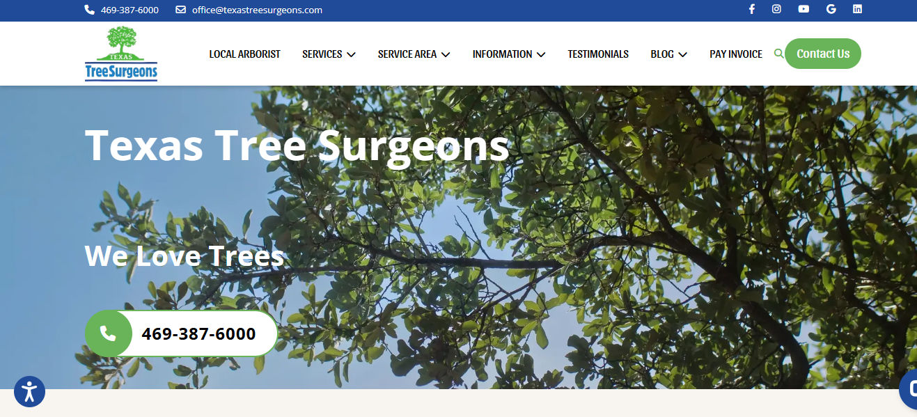 Texas Tree Surgeons