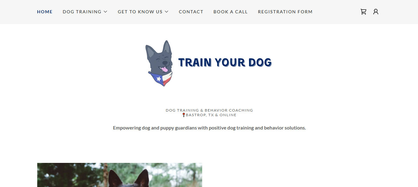 Train Your Dog