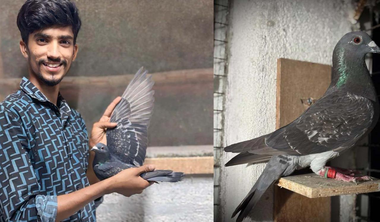 ৫২ দিনে ১৭৯০ কিমি পাড়ি দিয়ে ইতিহাস গড়ল এক বছরের অভিমন্যু! 