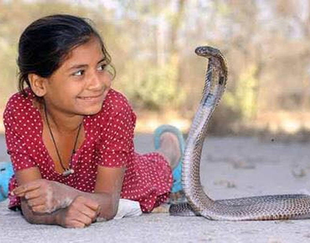 এই গ্রামের প্রতি বাড়িতেই থাকে গোখরা সাপ