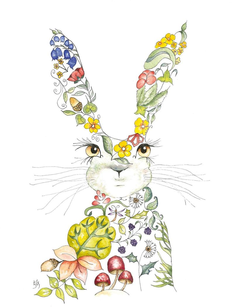 Meadow Hare