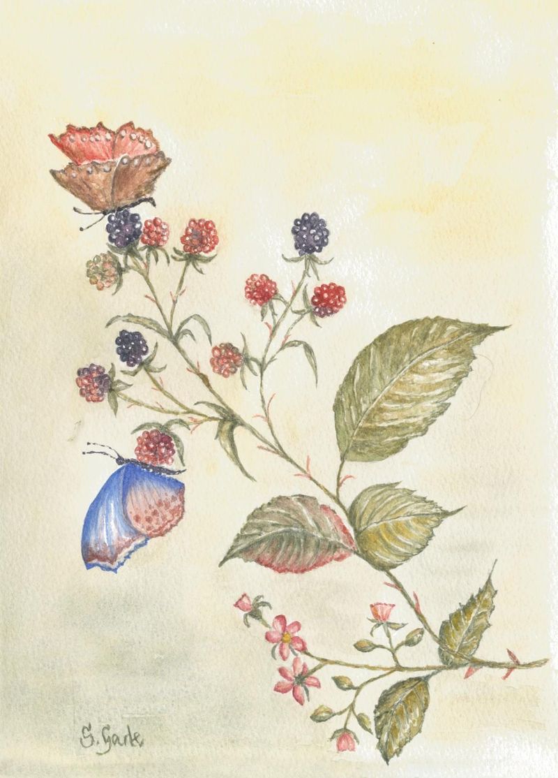 Nannie's Blackberries