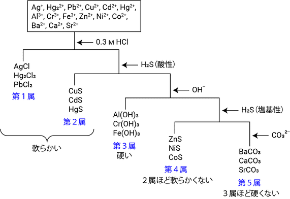 金属イオンの系統分析