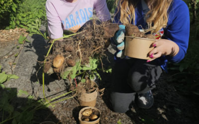 Gardening Fun!