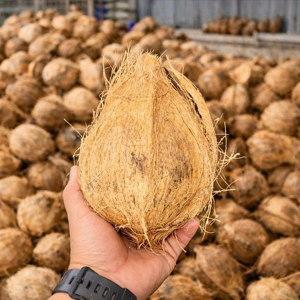 International Export Quality Standards