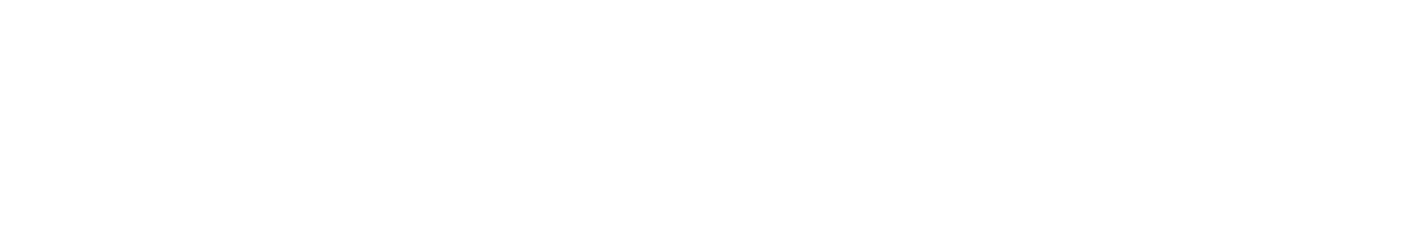 DiscoveryVox logo, white version