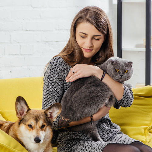 Pets
