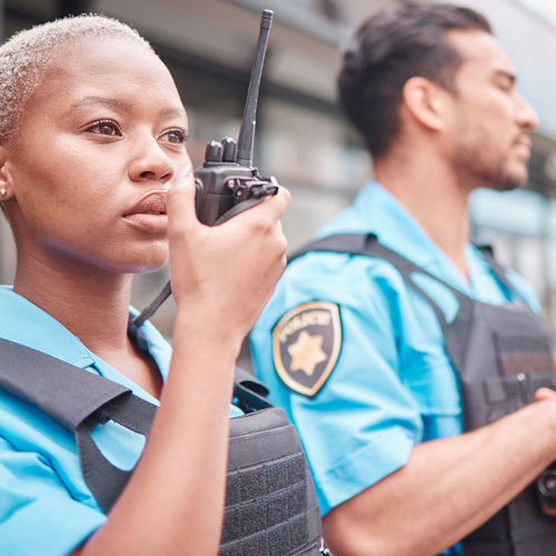 Security / Protective Services