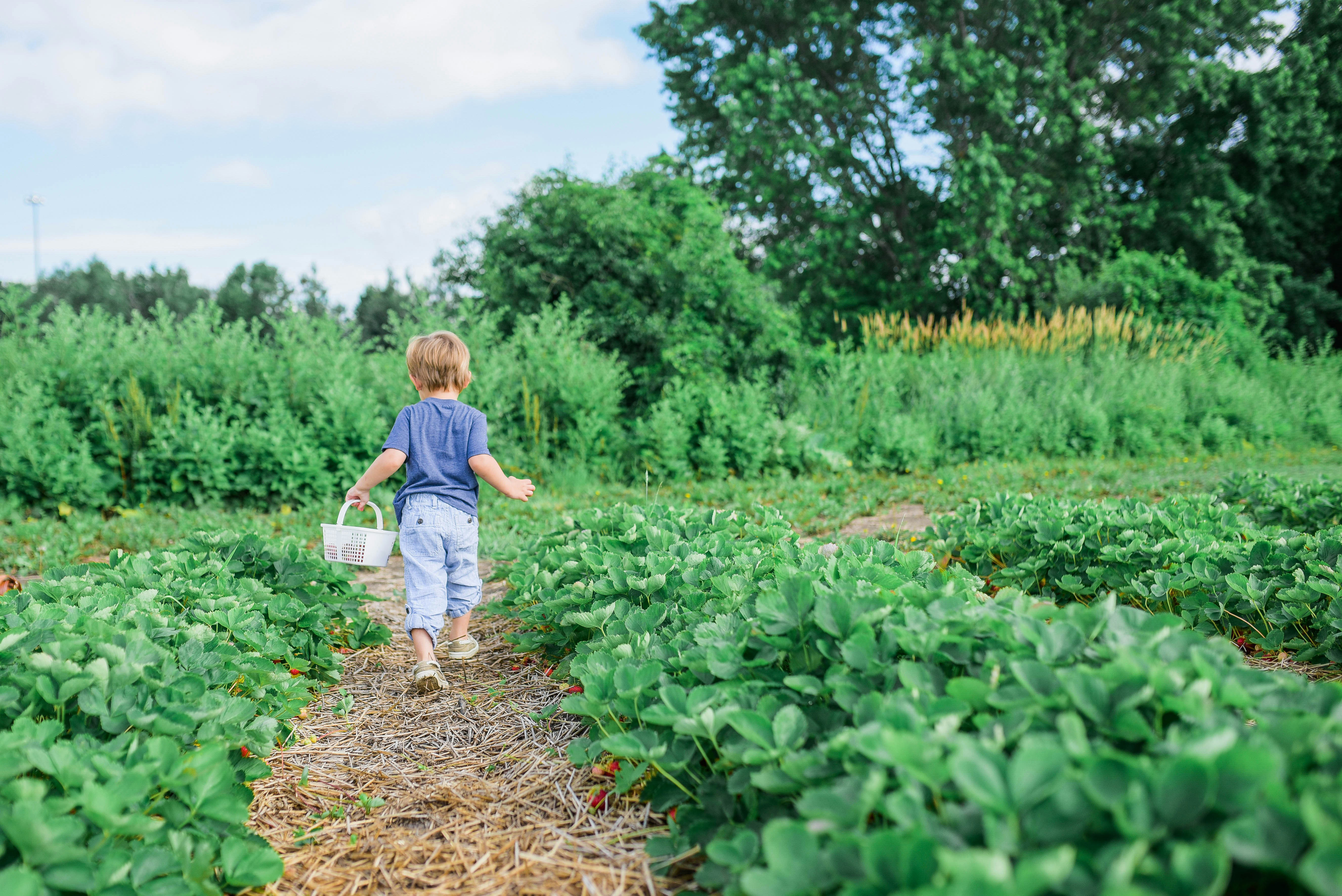 Discover Permaculture: Design for a Thriving Future