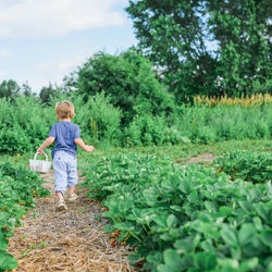 Discover Permaculture: Design for a Thriving Future