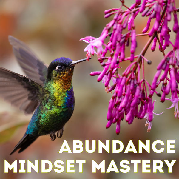 Abundance Mindset Mastery: Attract Prosperity & Fulfillment by Gemma Gorokhoff