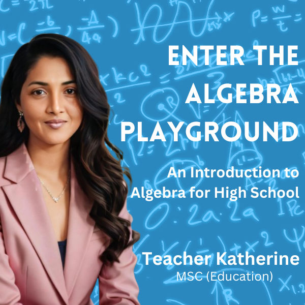 Enter The Algebra Playground