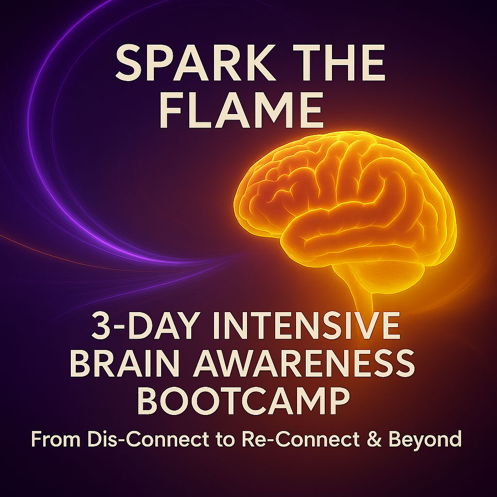 Spark The Flame 3-Day Intensive Brain Awareness BootCamp - Eliminate The Dis-Connect