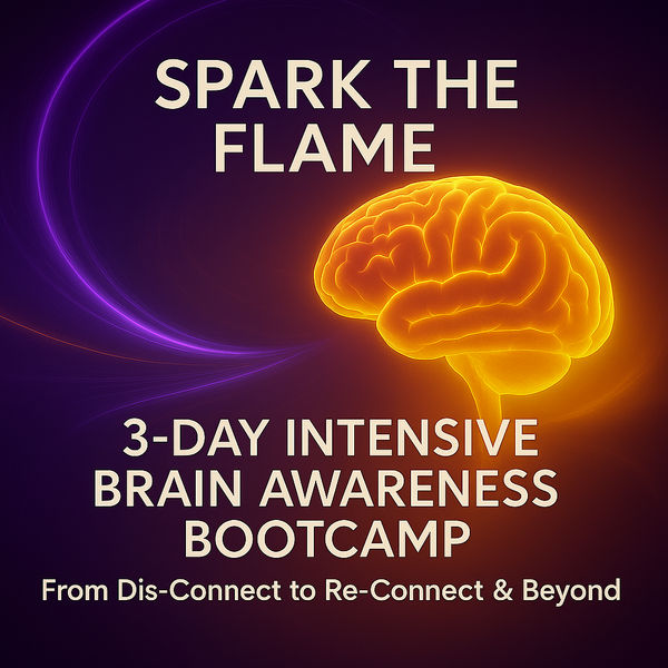 Spark The Flame 3-Day Intensive Brain Awareness BootCamp - Eliminate The Dis-Connect