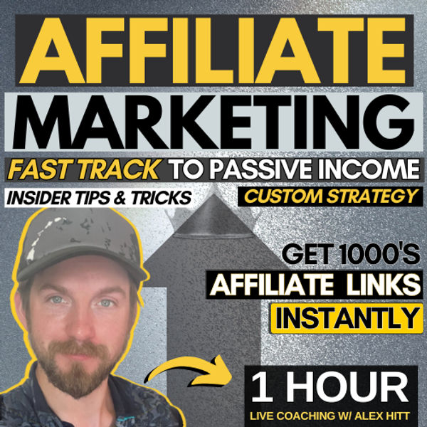 Affiliate Marketing for Beginners 101 - 1 Hour Consulting Session