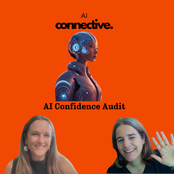 AI Confidence Audit